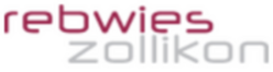 rebwieslogo.png.res-248x66.png